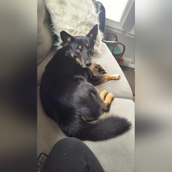 Meet your Posher, Samantha - Picture 2 of 4